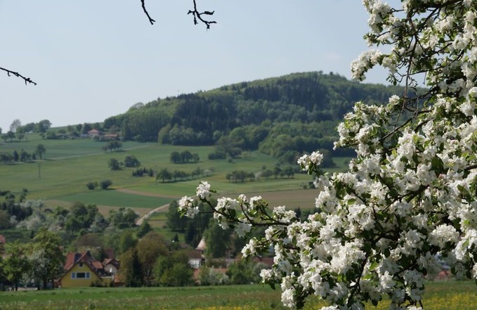 Blick zum Katzenbuckel