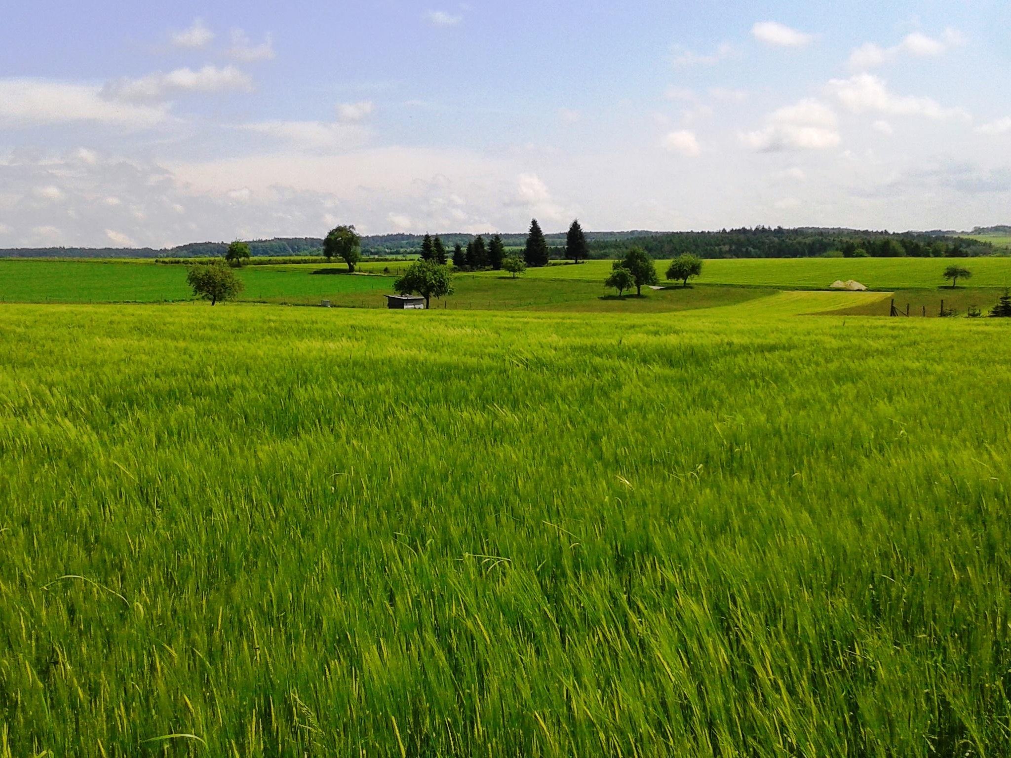 Schollbrunner Weg